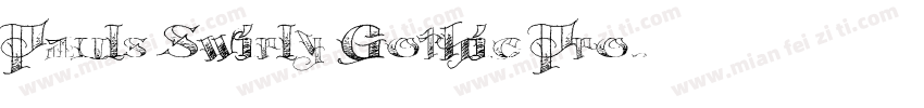 Pauls Swirly Gothic Pro字体转换